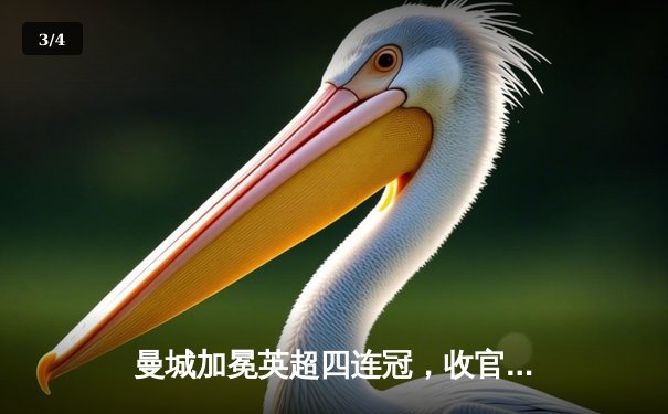 曼城加冕英超四连冠，收官战3-1西汉姆联创历史 - 3